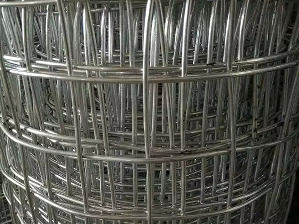 煤矿经纬金属网图片2